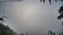 ./images/calvert/fitz-hugh-hecate/20260802/fitz-hugh-hecate20260802_060001M.jpg