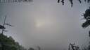 ./images/calvert/fitz-hugh-hecate/20260802/fitz-hugh-hecate20260802_060501M.jpg