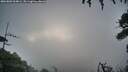 ./images/calvert/fitz-hugh-hecate/20260802/fitz-hugh-hecate20260802_064001M.jpg