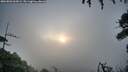 ./images/calvert/fitz-hugh-hecate/20260802/fitz-hugh-hecate20260802_065001M.jpg