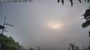 ./images/calvert/fitz-hugh-hecate/20260802/fitz-hugh-hecate20260802_065501M.jpg