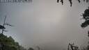 ./images/calvert/fitz-hugh-hecate/20260802/fitz-hugh-hecate20260802_070001M.jpg