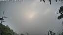./images/calvert/fitz-hugh-hecate/20260802/fitz-hugh-hecate20260802_070501M.jpg