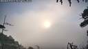 ./images/calvert/fitz-hugh-hecate/20260802/fitz-hugh-hecate20260802_071501M.jpg
