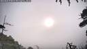 ./images/calvert/fitz-hugh-hecate/20260802/fitz-hugh-hecate20260802_073001M.jpg