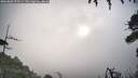 ./images/calvert/fitz-hugh-hecate/20260802/fitz-hugh-hecate20260802_075501M.jpg