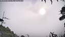 ./images/calvert/fitz-hugh-hecate/20260802/fitz-hugh-hecate20260802_082501M.jpg