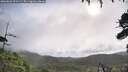 ./images/calvert/fitz-hugh-hecate/20260802/fitz-hugh-hecate20260802_091501M.jpg