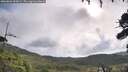 ./images/calvert/fitz-hugh-hecate/20260802/fitz-hugh-hecate20260802_092002M.jpg