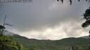 ./images/calvert/fitz-hugh-hecate/20260802/fitz-hugh-hecate20260802_093502M.jpg