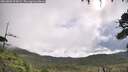 ./images/calvert/fitz-hugh-hecate/20260802/fitz-hugh-hecate20260802_095001M.jpg