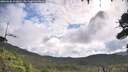 ./images/calvert/fitz-hugh-hecate/20260802/fitz-hugh-hecate20260802_100001M.jpg