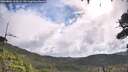 ./images/calvert/fitz-hugh-hecate/20260802/fitz-hugh-hecate20260802_100502M.jpg