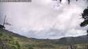 ./images/calvert/fitz-hugh-hecate/20260802/fitz-hugh-hecate20260802_101002M.jpg