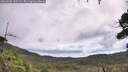 ./images/calvert/fitz-hugh-hecate/20260802/fitz-hugh-hecate20260802_105502M.jpg