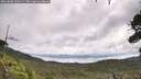 ./images/calvert/fitz-hugh-hecate/20260802/fitz-hugh-hecate20260802_110501M.jpg