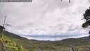 ./images/calvert/fitz-hugh-hecate/20260802/fitz-hugh-hecate20260802_111501M.jpg