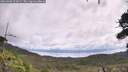 ./images/calvert/fitz-hugh-hecate/20260802/fitz-hugh-hecate20260802_112001M.jpg
