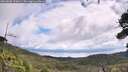 ./images/calvert/fitz-hugh-hecate/20260802/fitz-hugh-hecate20260802_113001M.jpg