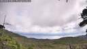 ./images/calvert/fitz-hugh-hecate/20260802/fitz-hugh-hecate20260802_114001M.jpg