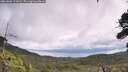 ./images/calvert/fitz-hugh-hecate/20260802/fitz-hugh-hecate20260802_121002M.jpg