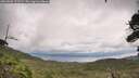 ./images/calvert/fitz-hugh-hecate/20260802/fitz-hugh-hecate20260802_123502M.jpg