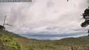 ./images/calvert/fitz-hugh-hecate/20260802/fitz-hugh-hecate20260802_124001M.jpg