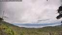 ./images/calvert/fitz-hugh-hecate/20260802/fitz-hugh-hecate20260802_125002M.jpg