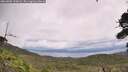 ./images/calvert/fitz-hugh-hecate/20260802/fitz-hugh-hecate20260802_130001M.jpg