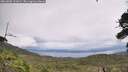 ./images/calvert/fitz-hugh-hecate/20260802/fitz-hugh-hecate20260802_131001M.jpg