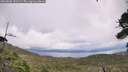 ./images/calvert/fitz-hugh-hecate/20260802/fitz-hugh-hecate20260802_131502M.jpg