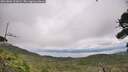 ./images/calvert/fitz-hugh-hecate/20260802/fitz-hugh-hecate20260802_133001M.jpg