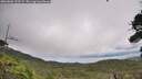 ./images/calvert/fitz-hugh-hecate/20260802/fitz-hugh-hecate20260802_133502M.jpg