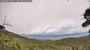 ./images/calvert/fitz-hugh-hecate/20260802/fitz-hugh-hecate20260802_141001M.jpg