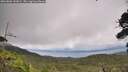 ./images/calvert/fitz-hugh-hecate/20260802/fitz-hugh-hecate20260802_143001M.jpg
