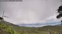 ./images/calvert/fitz-hugh-hecate/20260802/fitz-hugh-hecate20260802_150001M.jpg