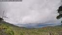 ./images/calvert/fitz-hugh-hecate/20260802/fitz-hugh-hecate20260802_160002M.jpg