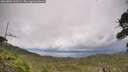 ./images/calvert/fitz-hugh-hecate/20260802/fitz-hugh-hecate20260802_161502M.jpg