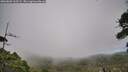 ./images/calvert/fitz-hugh-hecate/20260802/fitz-hugh-hecate20260802_165501M.jpg