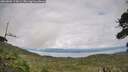 ./images/calvert/fitz-hugh-hecate/20260802/fitz-hugh-hecate20260802_174001M.jpg