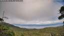 ./images/calvert/fitz-hugh-hecate/20260802/fitz-hugh-hecate20260802_183501M.jpg