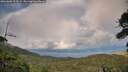 ./images/calvert/fitz-hugh-hecate/20260802/fitz-hugh-hecate20260802_195001M.jpg