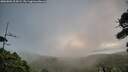 ./images/calvert/fitz-hugh-hecate/20260802/fitz-hugh-hecate20260802_204501M.jpg