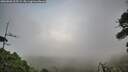 ./images/calvert/fitz-hugh-hecate/20260802/fitz-hugh-hecate20260802_205501M.jpg