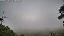 ./images/calvert/fitz-hugh-hecate/20260802/fitz-hugh-hecate20260802_210501M.jpg