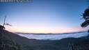./images/calvert/fitz-hugh-hecate/20260803/fitz-hugh-hecate20260803_053501M.jpg