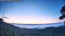 ./images/calvert/fitz-hugh-hecate/20260803/fitz-hugh-hecate20260803_054002M.jpg
