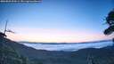 ./images/calvert/fitz-hugh-hecate/20260803/fitz-hugh-hecate20260803_054501M.jpg