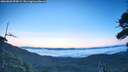 ./images/calvert/fitz-hugh-hecate/20260803/fitz-hugh-hecate20260803_055002M.jpg