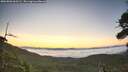 ./images/calvert/fitz-hugh-hecate/20260803/fitz-hugh-hecate20260803_060501M.jpg